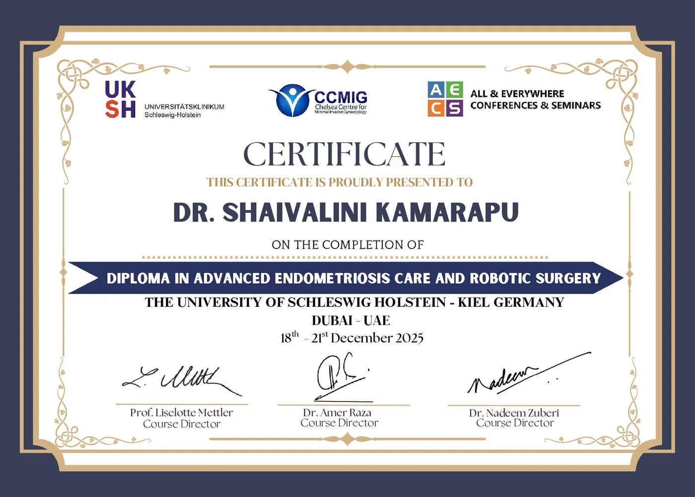 Certificate — Diploma in Advanced Endometriosis Care and Robotic Surgery, University of Schleswig-Holstein, Kiel (Germany) — with CCMIG