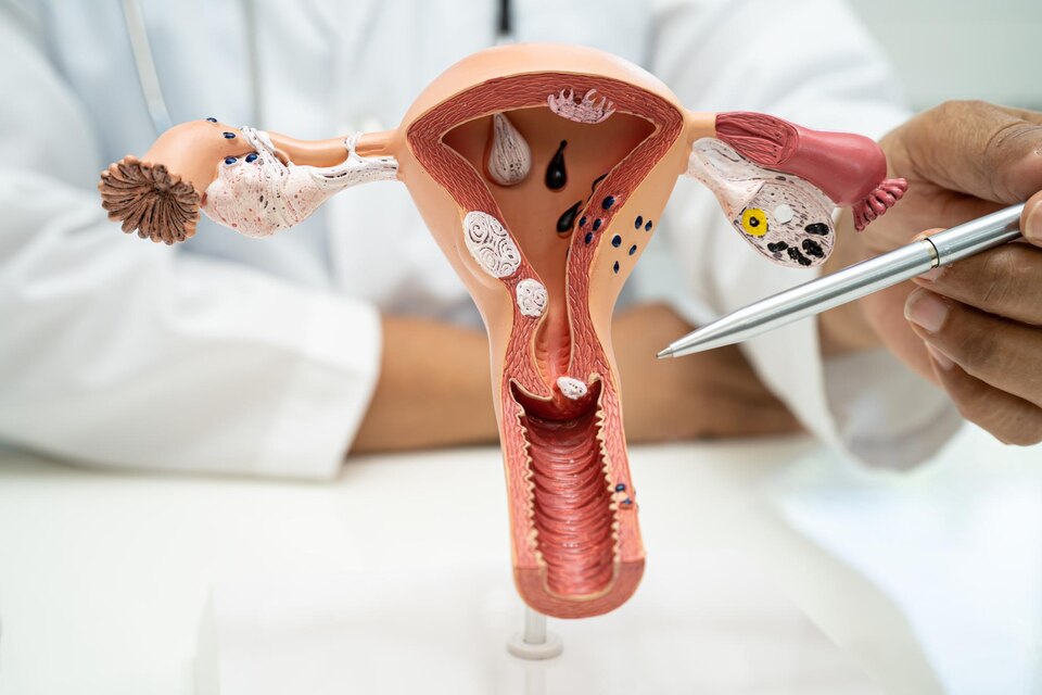 What Every Woman Should Know About the Procedure, Recovery & Care of Episiotomy at AMVI Hospital